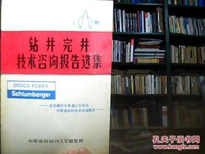 鉆井完井技術咨詢報告選集（上冊） 核心技術與實踐應用